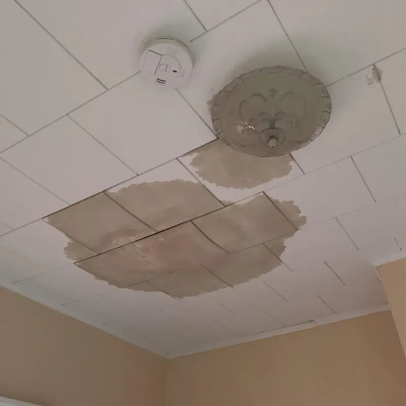 Ceiling Water Damage Repair in Ellsworth County, KS
