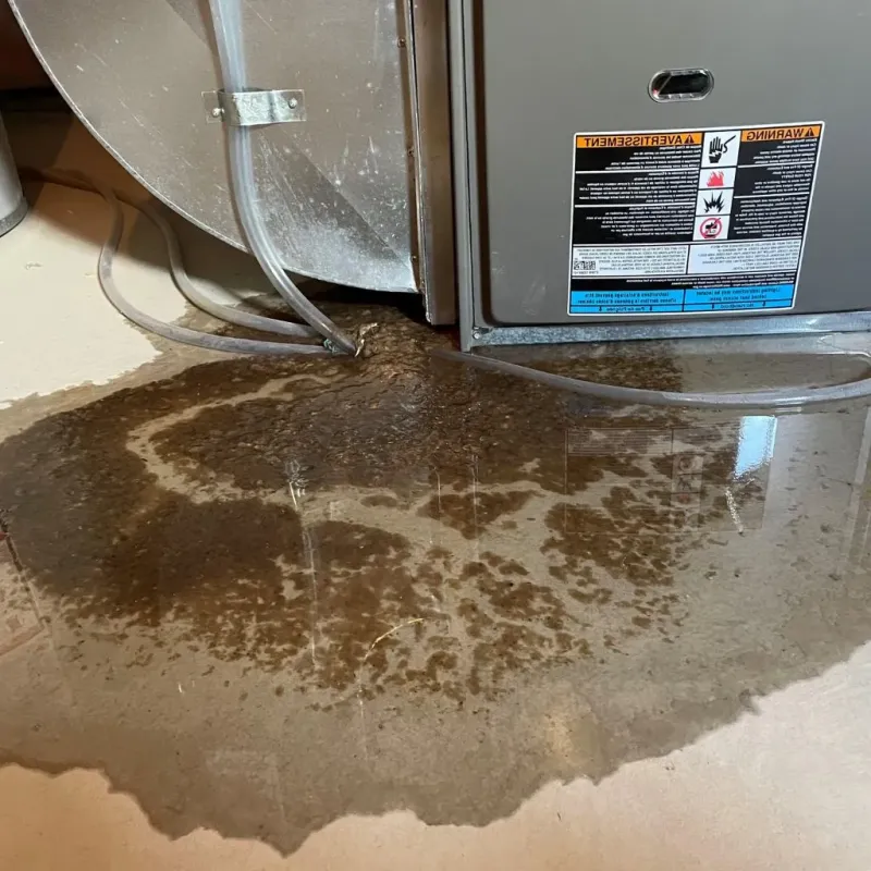 Pipe Burst and Leak Restoration in Ellsworth County, KS
