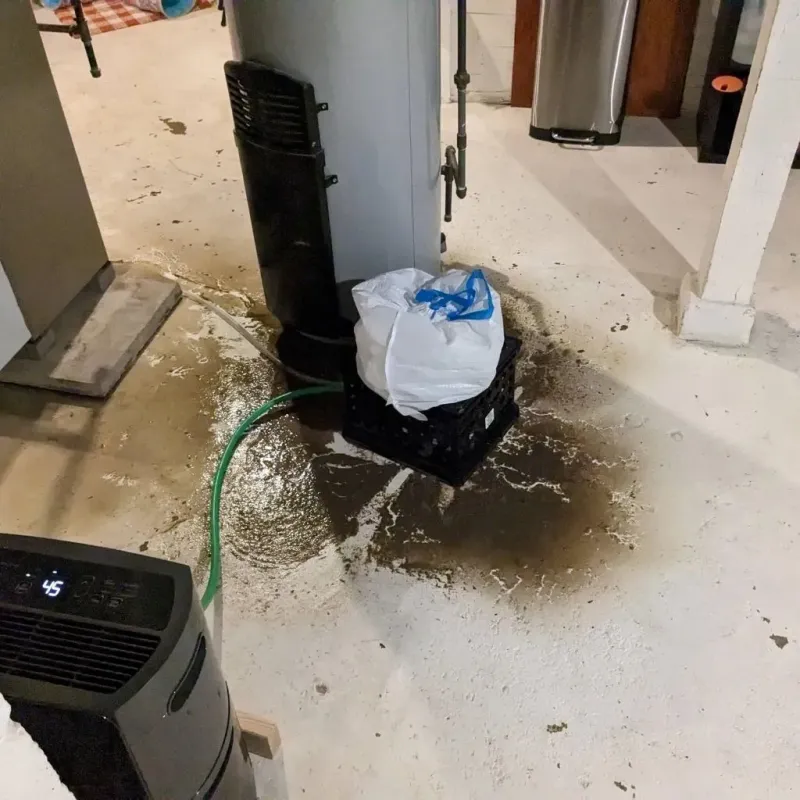 Sewage Backup Cleanup Service in Ellsworth County, KS